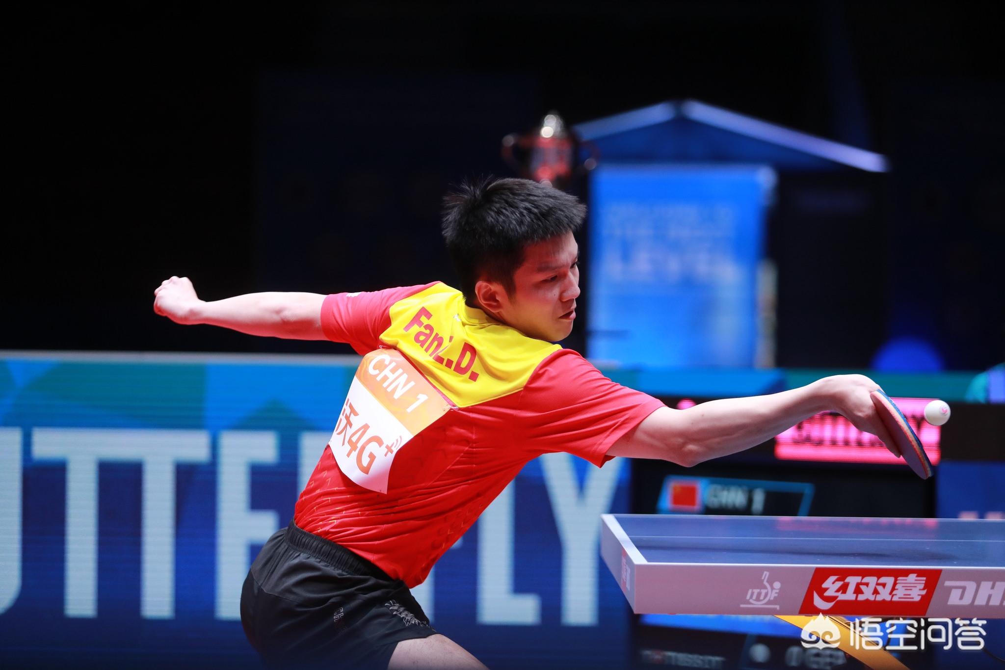 对于粉丝来 对于粉丝来